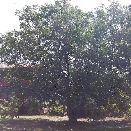 Possidi Oassis Villa Kassandria
